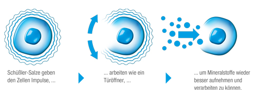BIOCHEMIE DHU 3 Ferrum phosphoricum D 6 tabletter, 200 st