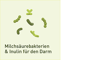 NUPURE probaflor Probiotics for Intestinal Restoration Kps, 90 st