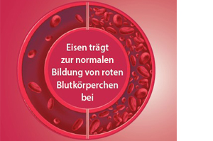 EISEN DIREKT plus vitamin C+folsyra+B12 pulver, 60 st