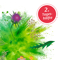 BASEN AKTIV Te Nr.2 Maskros Ekologisk Salus, 40 st