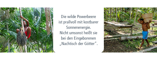 ACAI 100% organiskt pulver utan bärare, 80 g