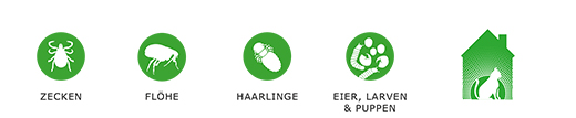 FRONTLINE Combo Spot på förberedelse för katthud, 3 st