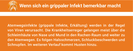 ANGOCIN Anti Infekt N filmdragerade tabletter, 500 st