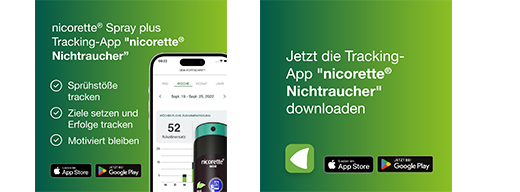 NICORETTE Frukt & Mint Spray 1 mg/spray NFC, 1 st