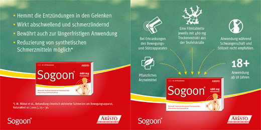 SOGOON 480 mg filmdragerade tabletter, 20 st