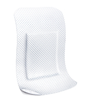 LEUKOPLAST mjuka vita gipsremsor 38x72 mm, 10 st