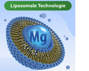 GLYCOWOHL vital liposomal magnesium högdos kapslar, 120 st