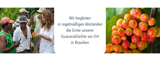 GUARANA PUDDER, 100 g