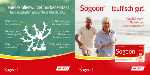 SOGOON 480 mg filmdragerade tabletter, 20 st