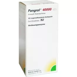 PANGROL 40.000 hårda kapsyler med enteric-coated pell, 100 st