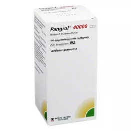 PANGROL 40.000 hårda kapsyler med enteric-coated pell, 100 st