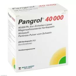 PANGROL 40.000 hårda kapsyler med enteric-coated pell, 200 st