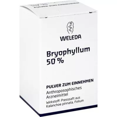 BRYOPHYLLUM 50% Oralt pulver, 20 g
