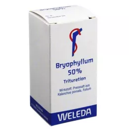 BRYOPHYLLUM 50% Oralt pulver, 20 g