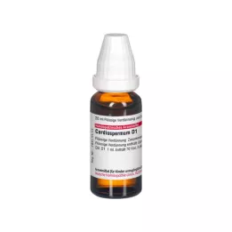 CARDIOSPERMUM D 1 Utspädning, 20 ml