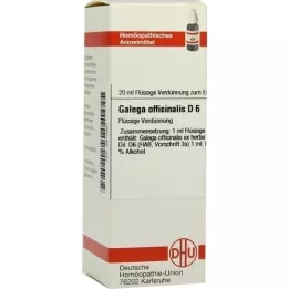 GALEGA officinalis D 6 Utspädning, 20 ml