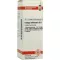 GALEGA officinalis D 6 Utspädning, 20 ml