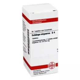 SOLIDAGO VIRGAUREA D 4 tabletter, 80 pc