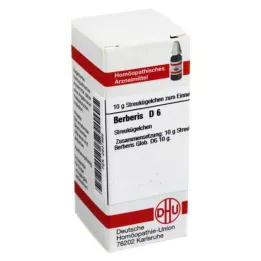 BERBERIS D 6 kulor, 10 g