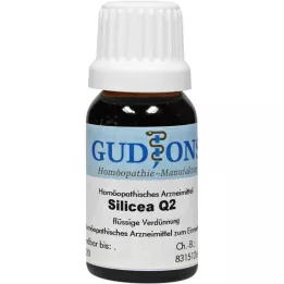 SILICEA Q 2-lösning, 15 ml