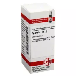 SPONGIA D 12 kulor, 10 g