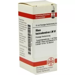 RHUS TOXICODENDRON LM VI Spädning, 10 ml