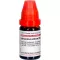 ARSENICUM ALBUM LM XXX Spädning, 10 ml