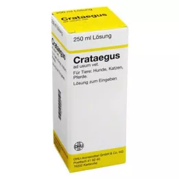 CRATAEGUS Spädning vet., 250 ml