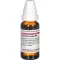 CURCUMA LONGA D 4 utspädning, 20 ml