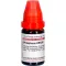 PHOSPHORUS LM XXX Spädning, 10 ml