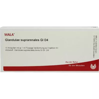 GLANDULAE SUPRARENALES GL D 4 Ampuller, 10X1 ml