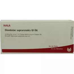 GLANDULAE SUPRARENALES GL D 6 Ampuller, 10X1 ml