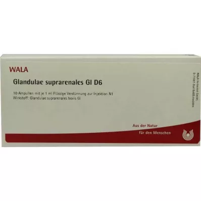 GLANDULAE SUPRARENALES GL D 6 Ampuller, 10X1 ml