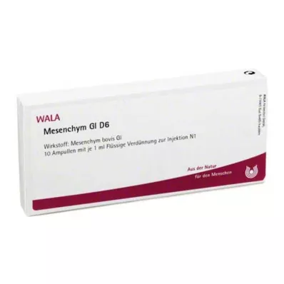 MESENCHYM GL D 6 Ampuller, 10X1 ml