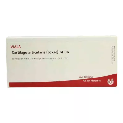 CARTILAGO articularis coxae GL D 6 ampuller, 10X1 ml