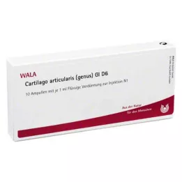 CARTILAGO släktet articularis GL D 6 ampuller, 10X1 ml