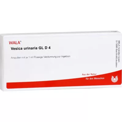 VESICA URINARIA GL D 4 Ampuller, 10X1 ml