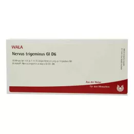 NERVUS TRIGEMINUS GL D 6 Ampuller, 10X1 ml