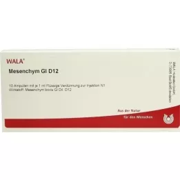 MESENCHYM GL D 12 Ampuller, 10X1 ml