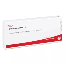 BINDEGEWEBE GL D 6 Ampuller, 10X1 ml