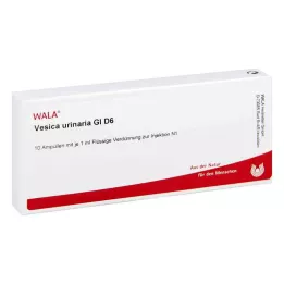 VESICA URINARIA GL D 6 Ampuller, 10X1 ml