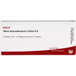 RHUS TOXICODENDRON E foliis D 6 Ampuller, 10X1 ml