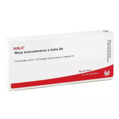 RHUS TOXICODENDRON E foliis D 6 Ampuller, 10X1 ml RHUS TOXICODENDRON E foliis D 6 Ampuller, 10X1 ml