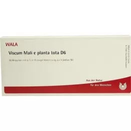 VISCUM MALI e planta tota D 6 Ampuller, 10X1 ml