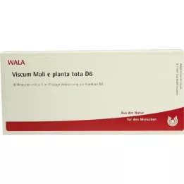 VISCUM MALI e planta tota D 6 Ampuller, 10X1 ml
