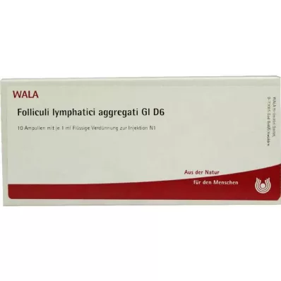 FOLLICULI LYMPHATICI aggregati GL D 6 ampuller, 10X1 ml