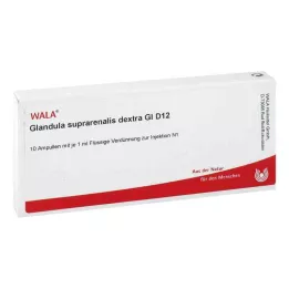 GLANDULA SUPRARENALES dextra GL D 12 ampuller, 10X1 ml