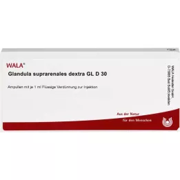 GLANDULA SUPRARENALES dextra GL D 30 ampuller, 10X1 ml