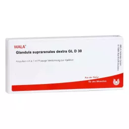 GLANDULA SUPRARENALES dextra GL D 30 ampuller, 10X1 ml