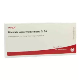 GLANDULA SUPRARENALIS sinistra GL D 4 ampuller, 10X1 ml